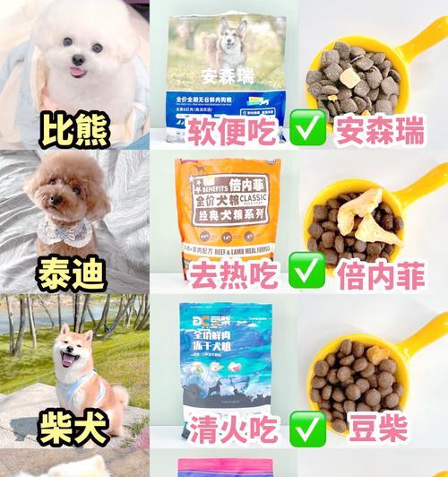 中型犬狗粮摄入量标准是什么？如何确定合适克数？