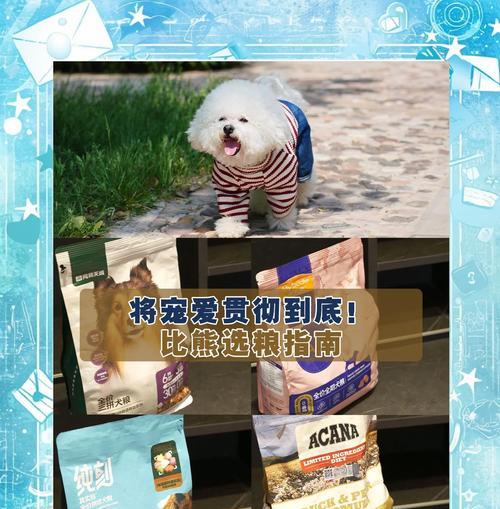 五个月大的比熊应该吃哪种狗粮？如何选择合适的狗粮？