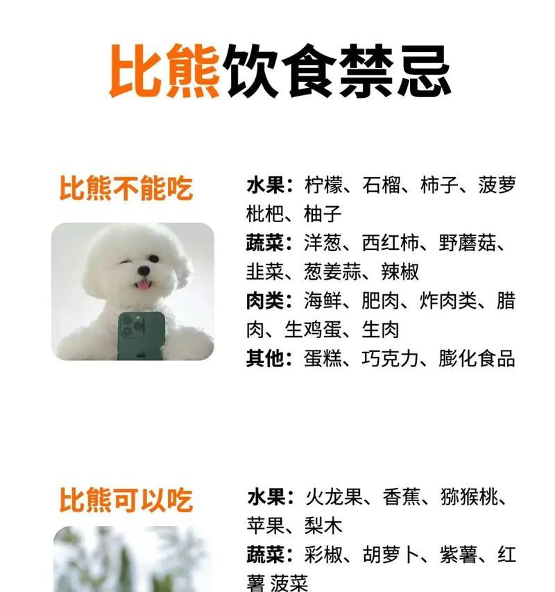 比熊四个月大时晚上喂食后，早晨还需要再喂吗？如何安排比熊的喂食时间？
