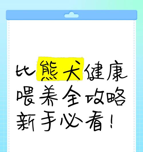 比熊三个月大时一天应该吃几次？如何制定喂食计划？