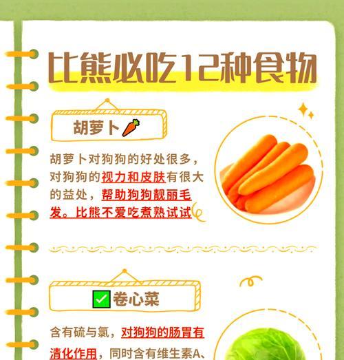 三个月小比熊每顿应该喂多少狗粮？如何制定喂食计划？