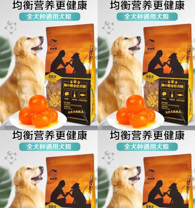 比熊可以吃泰迪的狗粮吗？正确的喂食方法是什么？