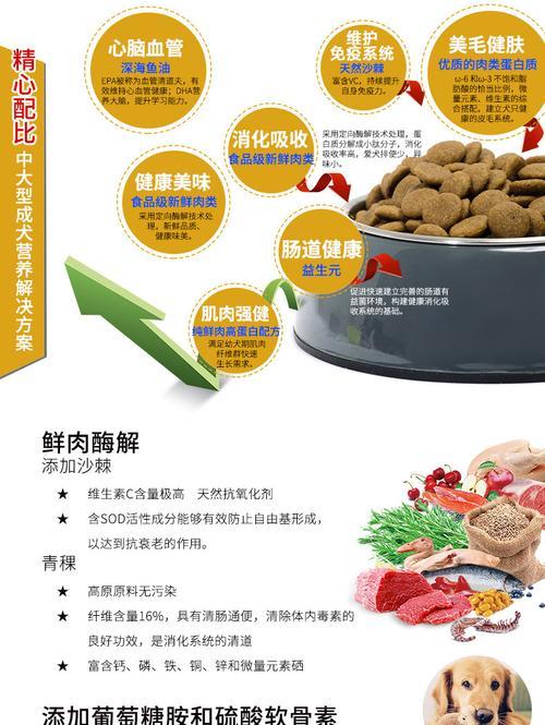 大型犬每月狗粮摄入量标准是多少？如何根据活动量调整？