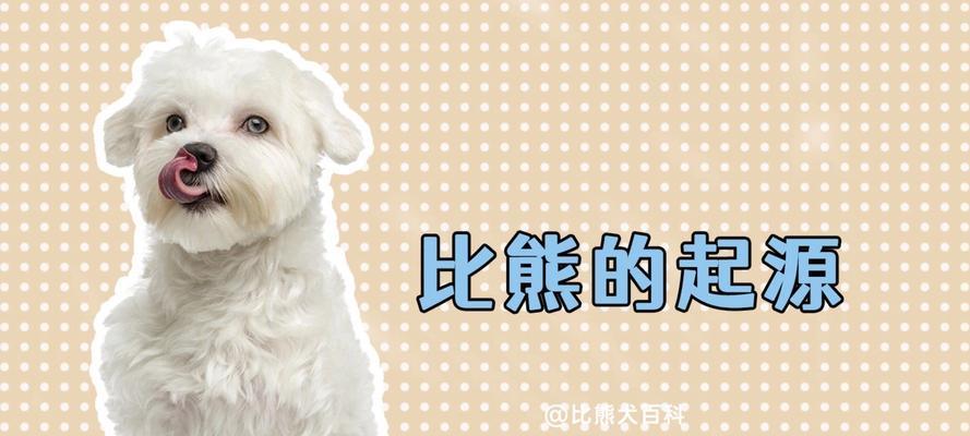 比熊幼犬如何顺利换粮食？