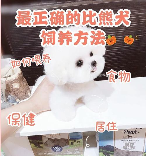 比熊幼犬如何顺利换粮食？