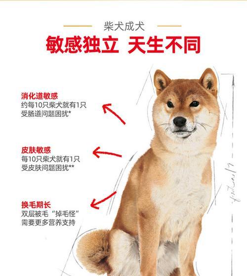 柴犬吐出狗粮后应该怎么办？