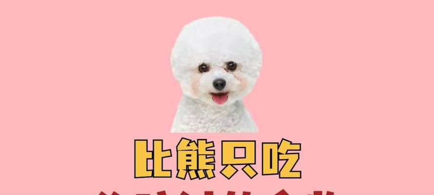 比熊幼犬可以吃人类食物吗？