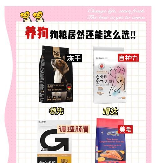 中型犬一个月需要多少狗粮？狗粮排名如何影响选择？