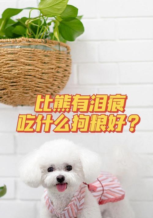 三个月小比熊还能喂什么狗粮？有哪些适合的选择？