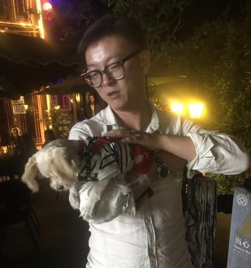 丽江泰迪美容服务如何？价格是多少？