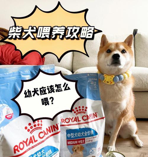 六月大的柴犬每天应该吃多少蛋黄？