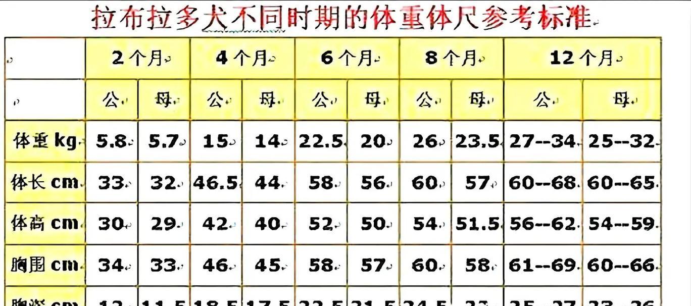 长得胖的小型犬有哪些？它们的体重范围是多少？