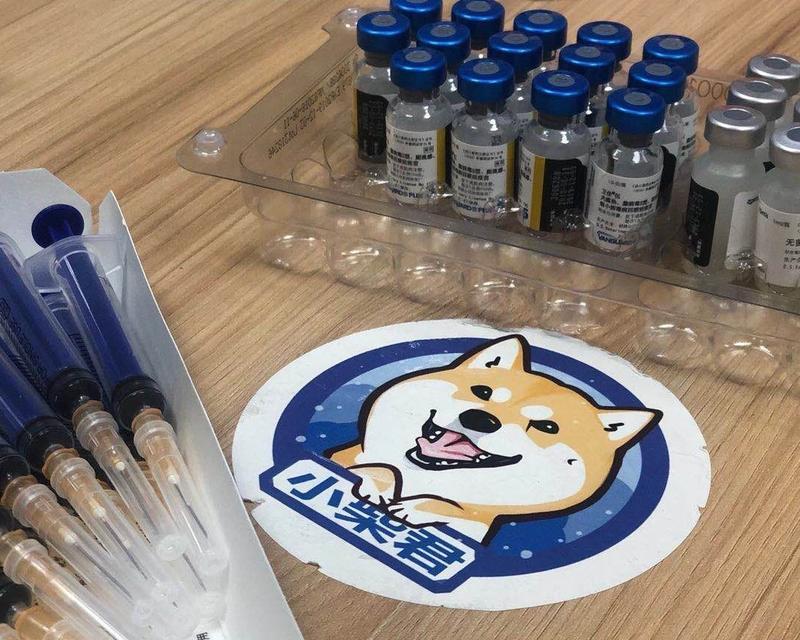柴犬打疫苗每针费用是多少？需要定期打吗？