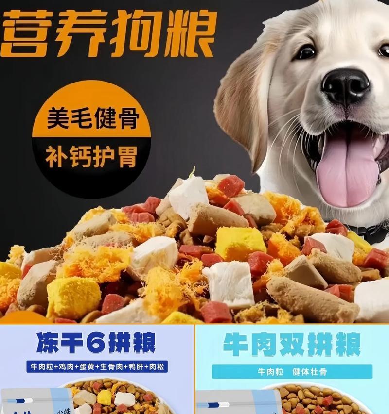 奶糕粮泰迪幼犬一天吃多少克？如何科学喂养？