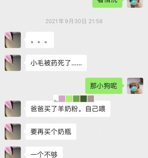 泰迪绝育后多久可以配种？需要注意什么？