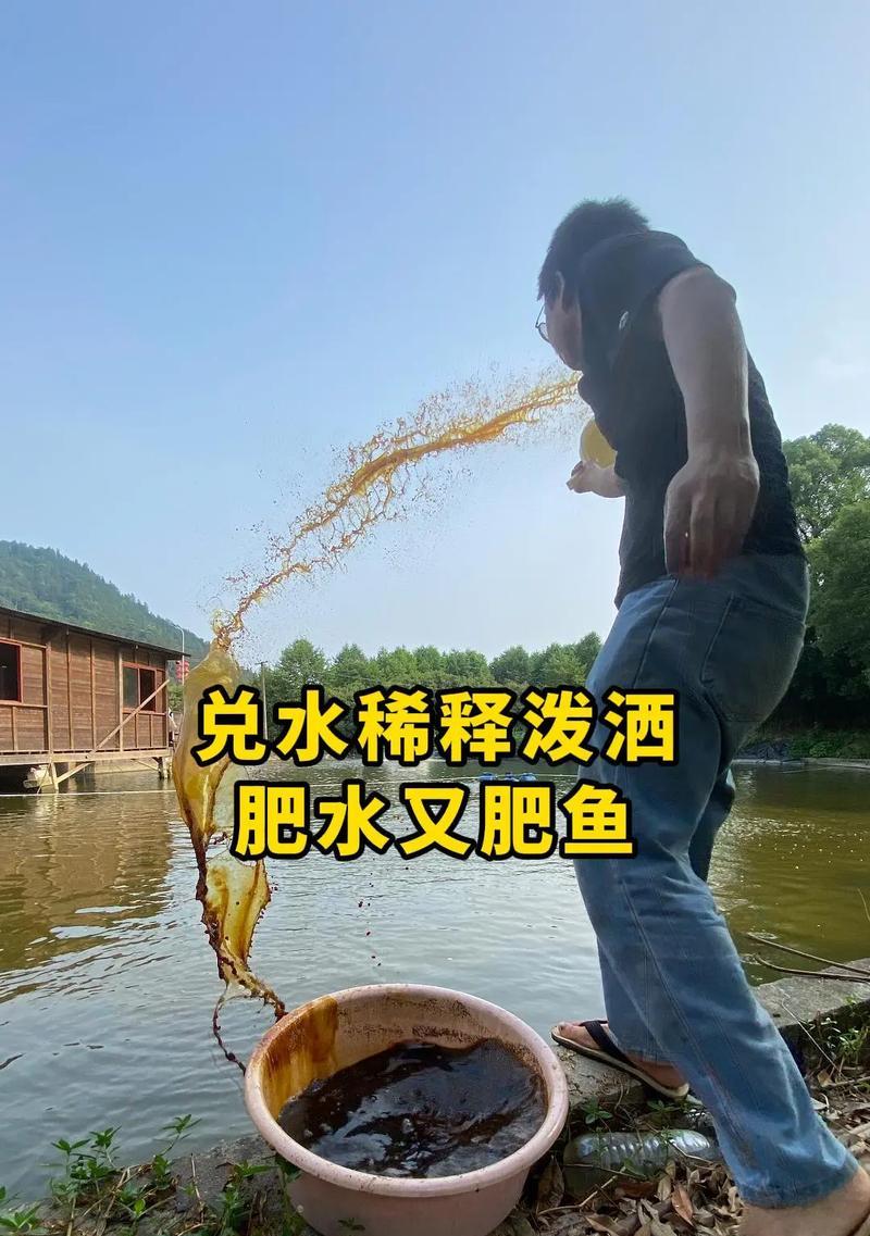 肥水可以放鲤鱼苗吗为什么？肥水对鲤鱼苗的影响是什么？