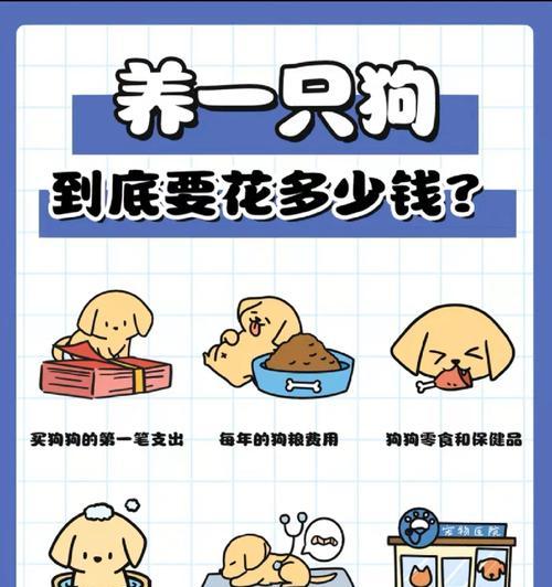 泰迪萌宠的价格是多少？一只狗需要多少钱？