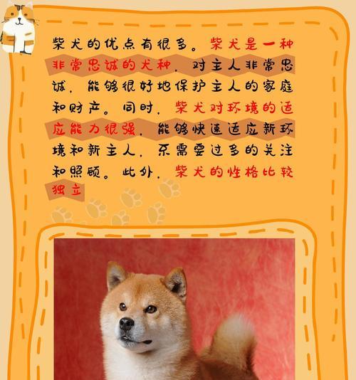 短腿柴犬的平均寿命是多少年？影响柴犬寿命的因素有哪些？
