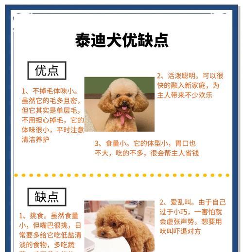 泰迪小狗剃毛是否可行？费用大概是多少？