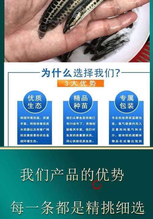 鱼苗是否需要打氧气？打氧气对鱼苗有何益处？