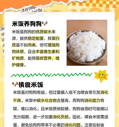 狗狗能吃杂食猫粮吗？有什么潜在风险？