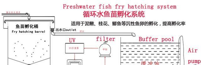 买鱼苗为什么要放点盐泡一下？盐水泡鱼苗的好处是什么？