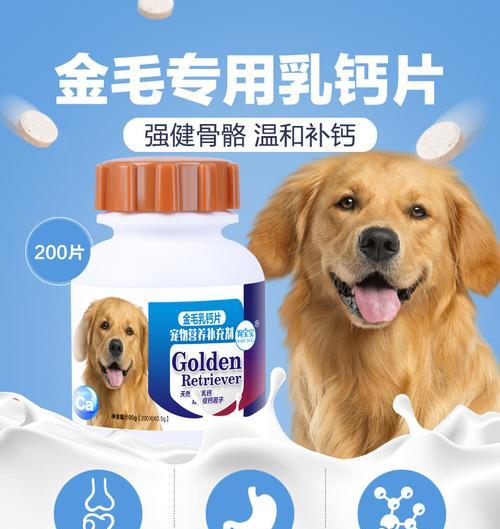 超大型犬适用的钙片有哪些？如何选择合适的品牌？