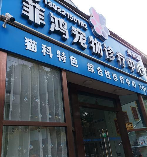 天津泰迪绝育团购的费用是多少？团购绝育有哪些好处？