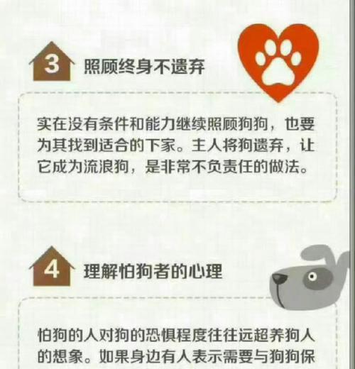 哪些小型犬容易咬主人？如何预防和处理这种情况？