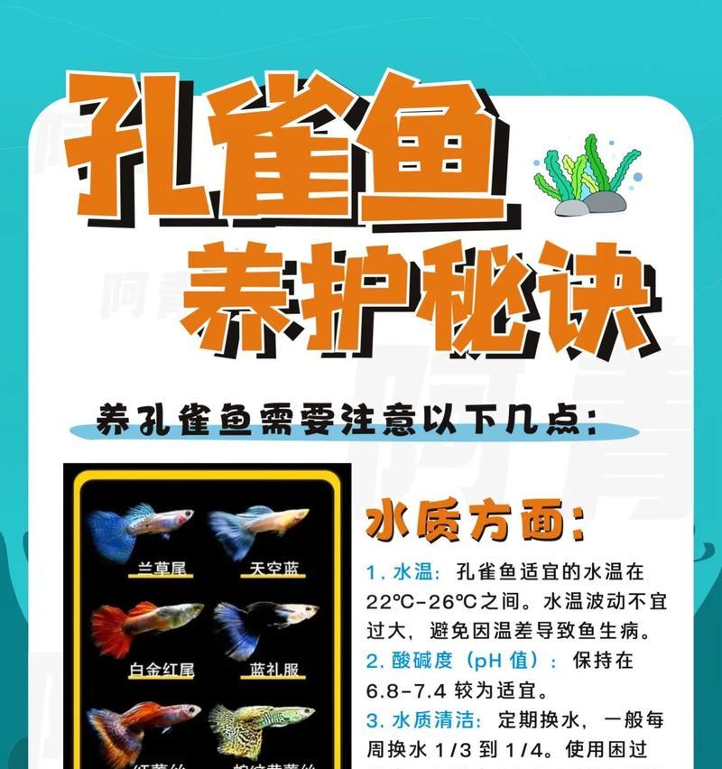 孔雀鱼苗肠炎的治疗方法是什么？为什么会得肠炎？