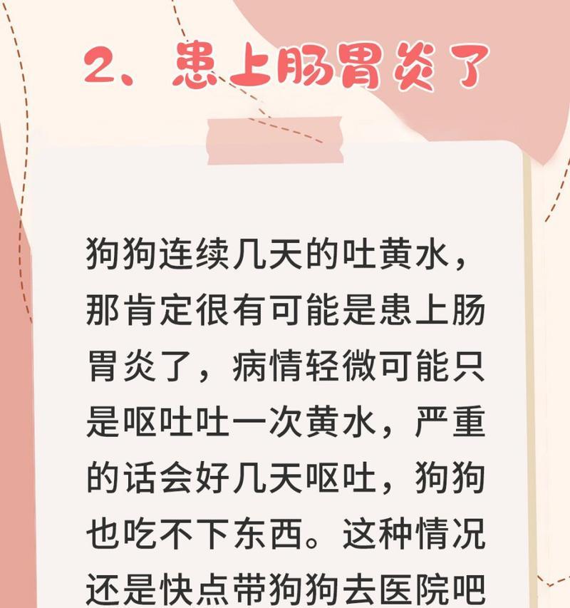 狗吐黄沫子又吐粮是什么原因？