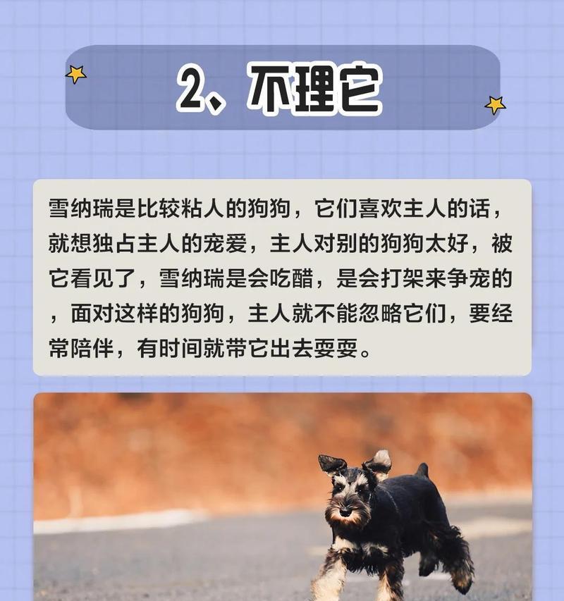 哪些小型犬品种比较脆弱？它们的常见问题是什么？