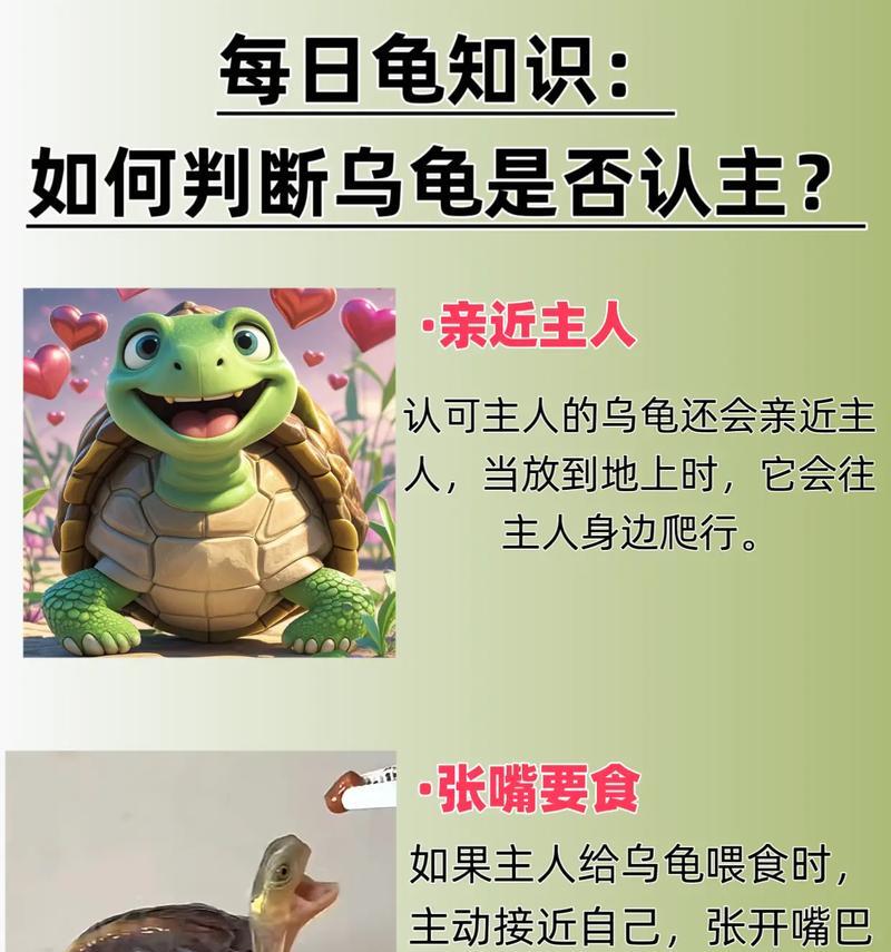 小乌龟不吃小鱼苗的原因是什么？如何解决小乌龟不吃食的问题？