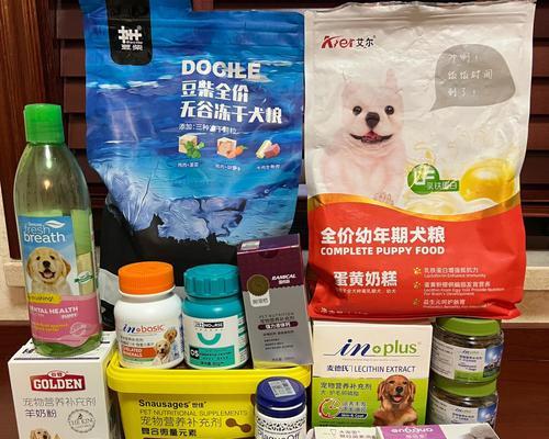 用泰迪训练猎犬效果如何？训练成本大概需要多少？