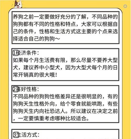 内向的小型犬品种有哪些？如何训练内向的小型犬？