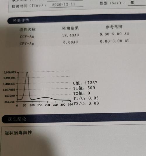 泰迪胰腺坏死的治疗效果和费用是多少？