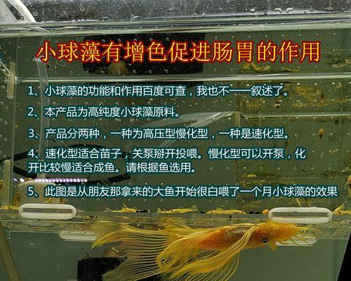 培育鱼苗粉料是什么意思？使用粉料有什么好处？