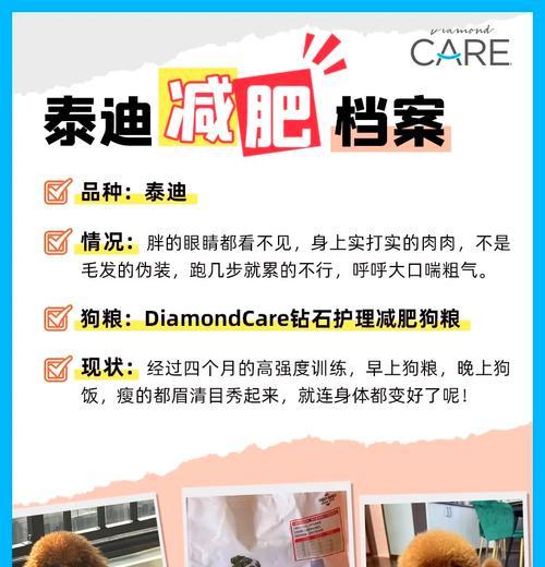 泰迪一次吃多少合适？泰迪的饮食量如何控制？