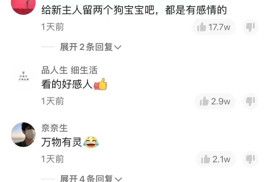岳阳地区小泰迪绝育手术费用是多少？