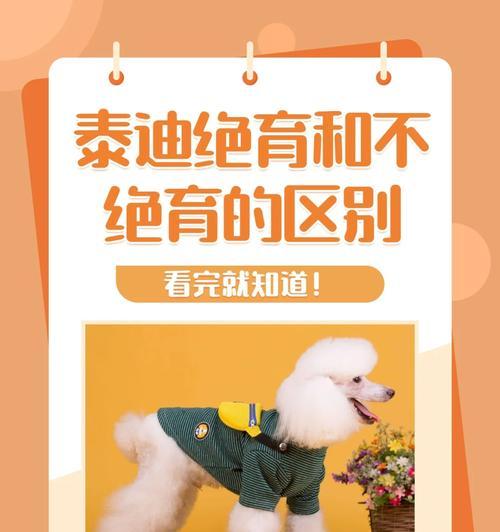 岳阳地区小泰迪绝育手术费用是多少？