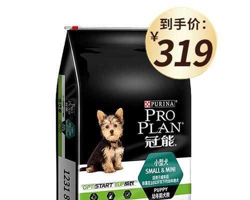 中体灰泰迪的特征和购买渠道有哪些？