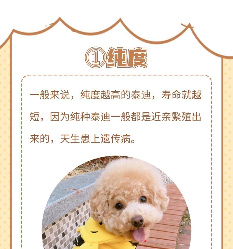 泰迪的平均寿命和价格是多少？