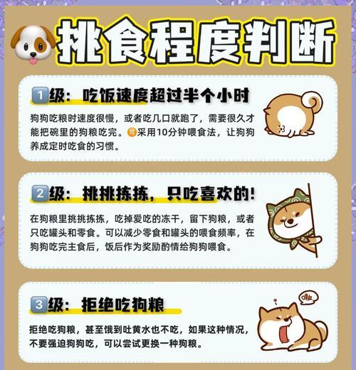 训狗时如何正确喂粮？拿粮的方式会影响训练效果吗？