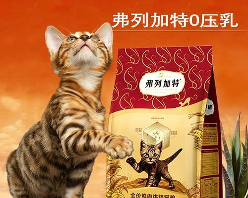 柴犬发情出血通常持续多久？期间需要特别注意什么？