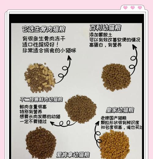 猫狗混合宠物粮的正确喂食方法是什么？需要注意什么？