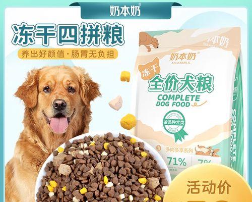 奶狗何时换粮及适合的食品是什么？