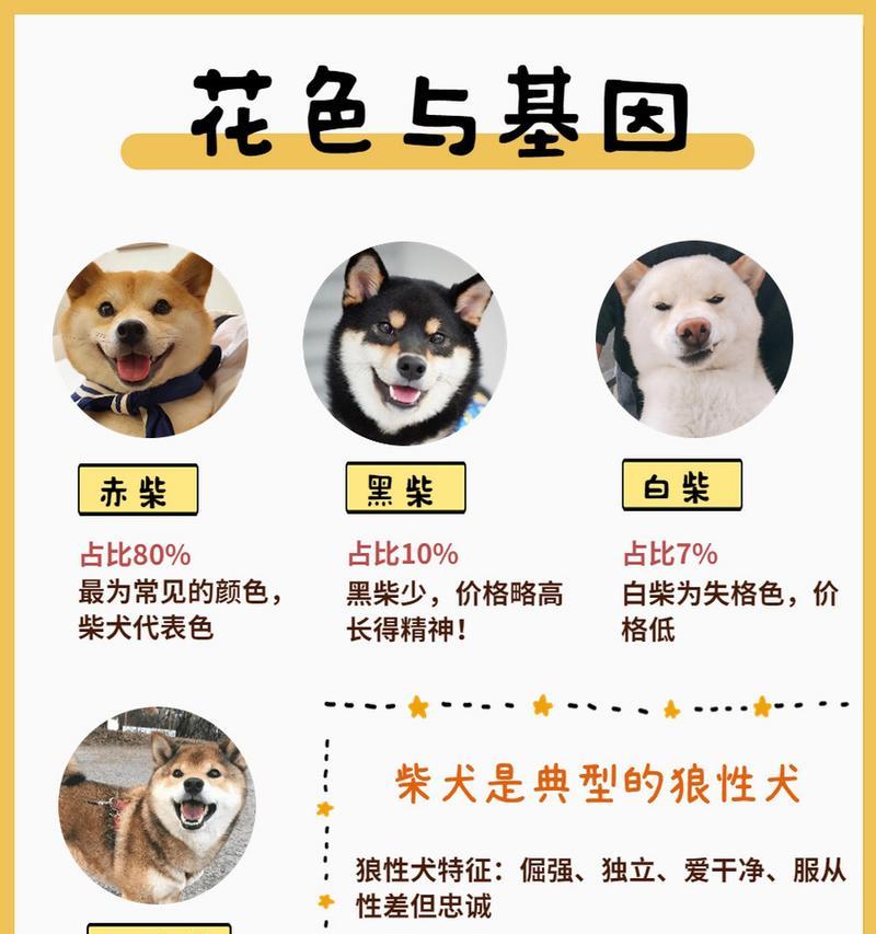 柴犬修毛造型的费用是多少？