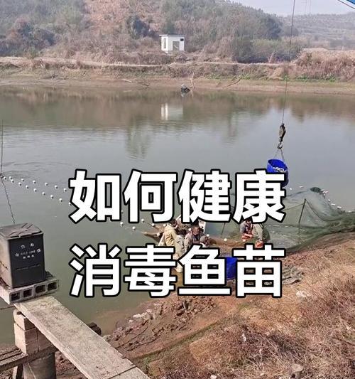 喂食的鱼苗拿什么消毒杀菌？鱼苗消毒杀菌的正确方法是什么？