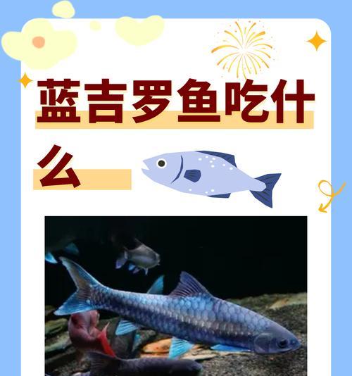 鱼苗应该吃什么食物才能快速成长？如何选择合适的饲料？