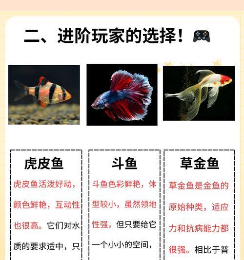 什么办法装鱼苗最好？装鱼苗需要注意哪些事项？